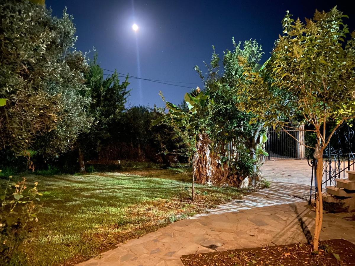 Cottage House,With Big Garden & Lawn Amaliada 外观 照片