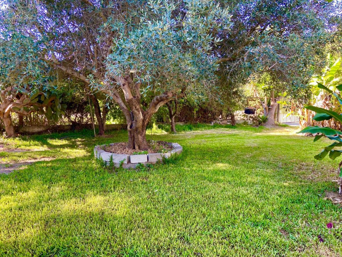 Cottage House,With Big Garden & Lawn Amaliada 外观 照片
