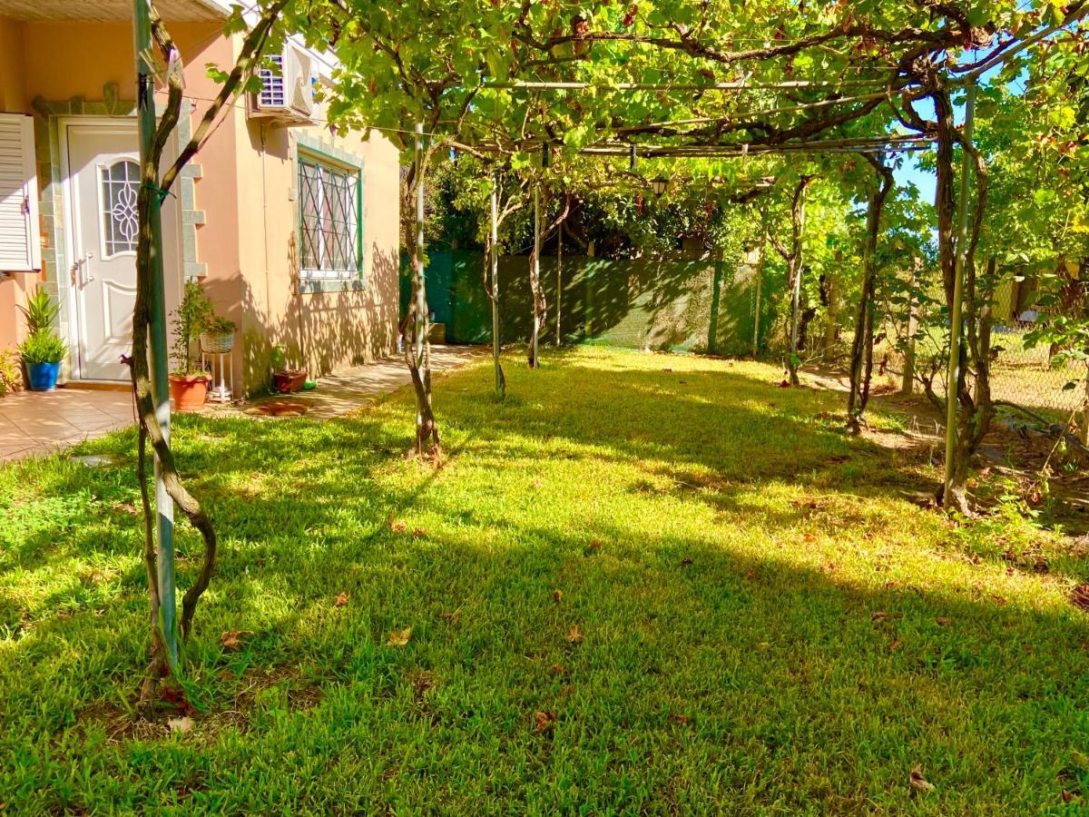 Cottage House,With Big Garden & Lawn Amaliada 外观 照片